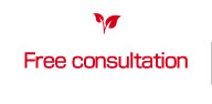 Free consultation