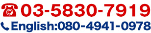 TEL:03-5830-7919
