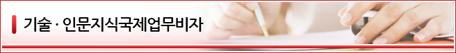 인문 지식 · 국제 업무 비자